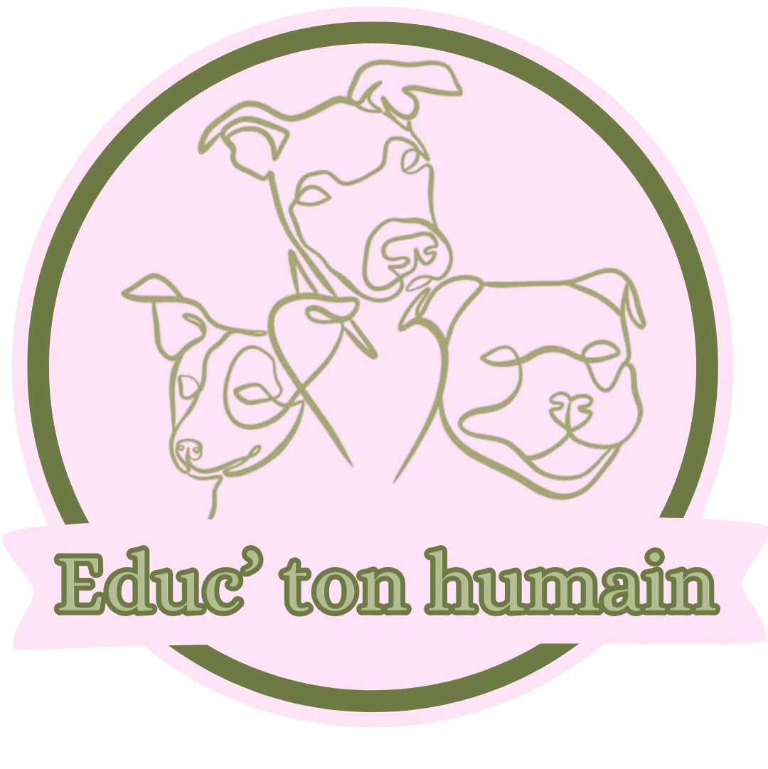 shop logo